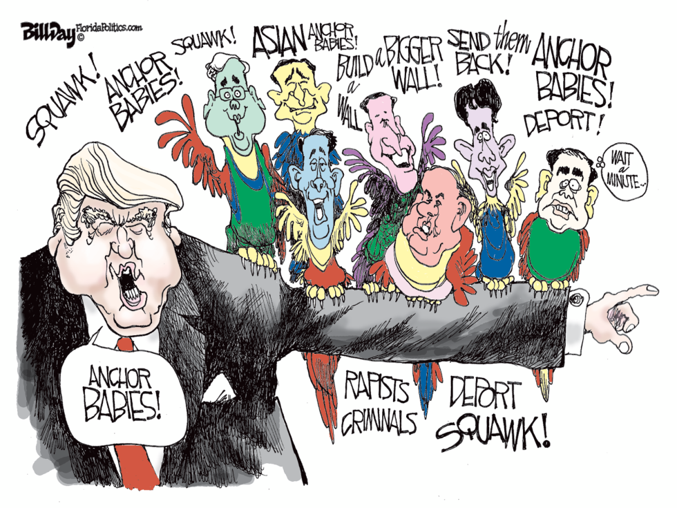BIRDS of a FEATHER  color
