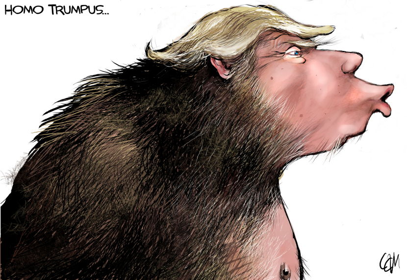 Trump missing link