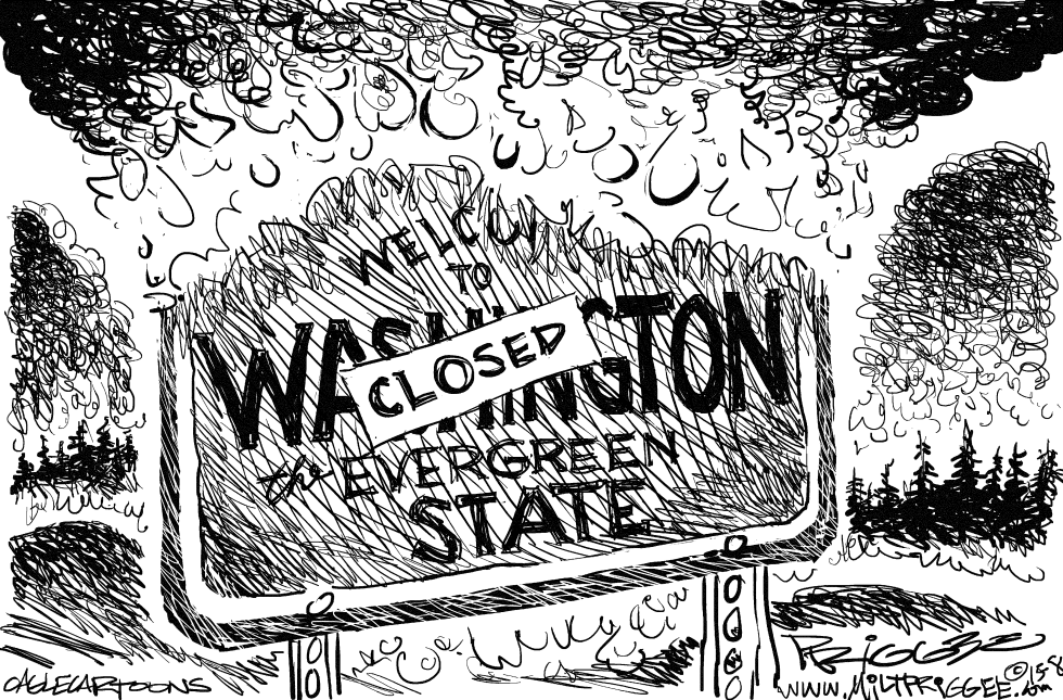 Wildfires