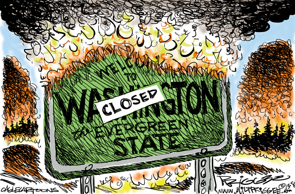 Wildfires