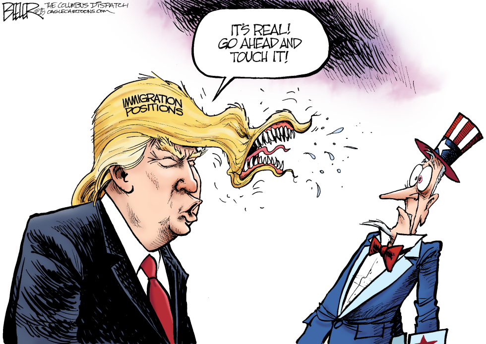 Trump Hair COLOR