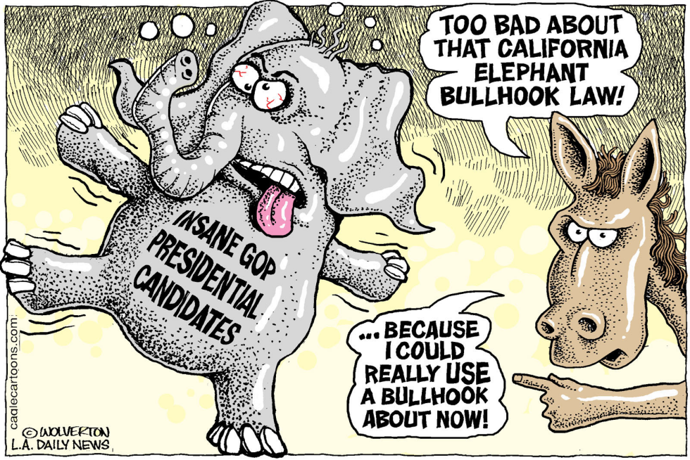  LOCAL-CA BULLHOOKS AND BALLOTS by Wolverton