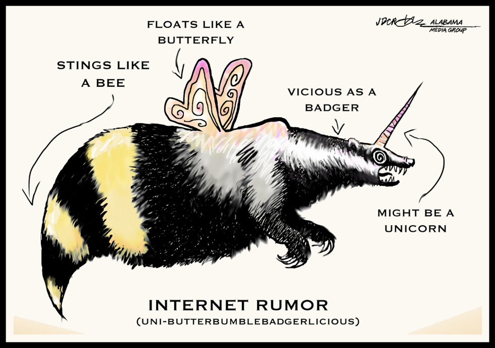 Internet Rumors