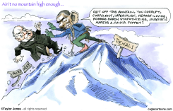 MOUNTAIN GOATS -  by Taylor Jones