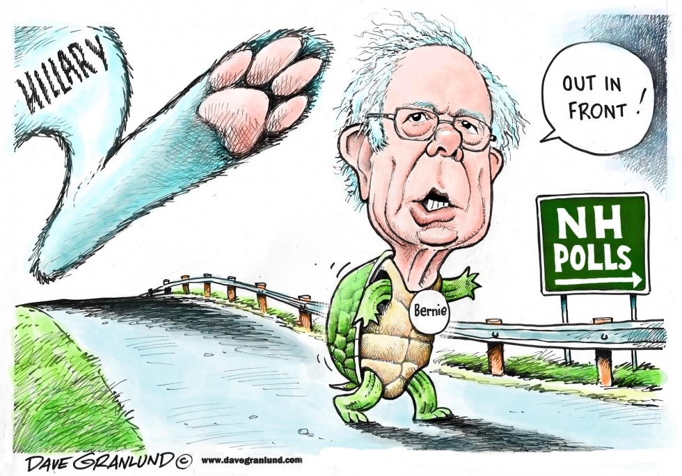  BERNIE AND NH POLLS by Dave Granlund