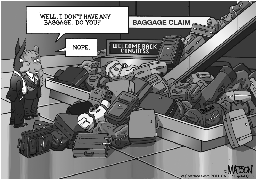  CONGRESSIONAL BAGGAGE CLAIM by RJ Matson