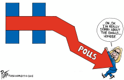 HILLARYS POLLS by Bruce Plante