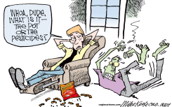 POT OR PESTICIDES by Mike Keefe