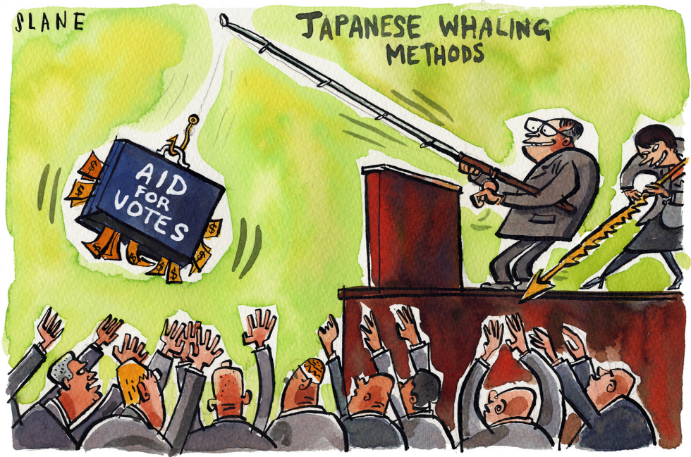 Japanese Whale Bait