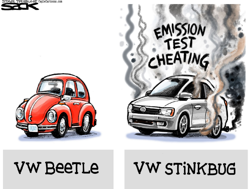 VW Stinker COLOR