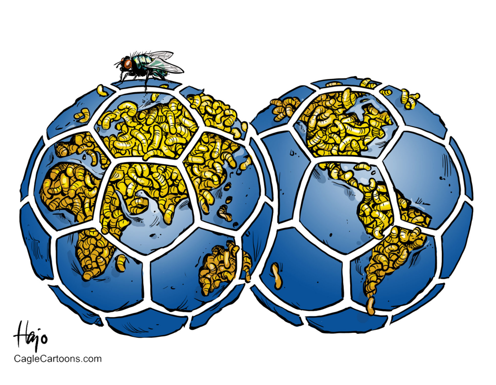  FFA AND SEPP by Hajo de Reijger