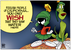WATER ON MARS,  by Randy Bish