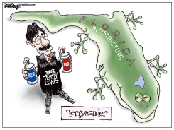LOCAL FL TERRYMANDER by Bill Day