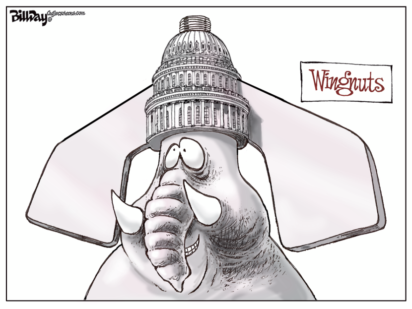 WINGNUTS  color