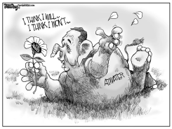 LOCAL FL DAISY PICKER by Bill Day