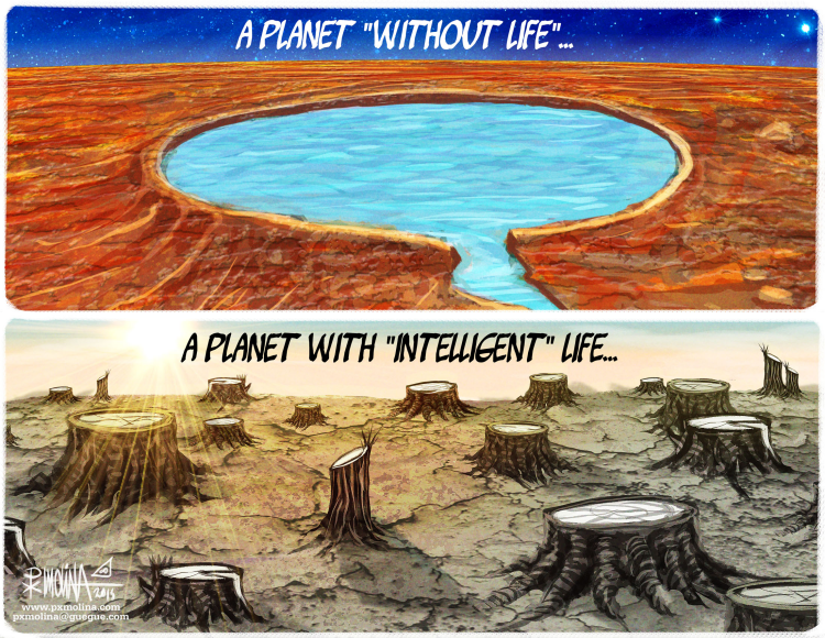 Life planet