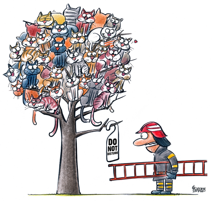 Cats and fireman