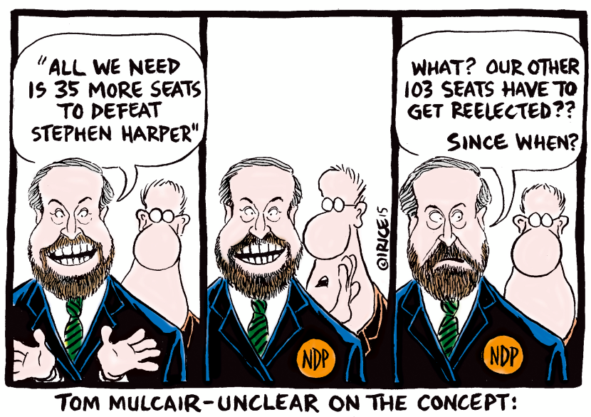 Tom Mulcair Unclear in the Concept