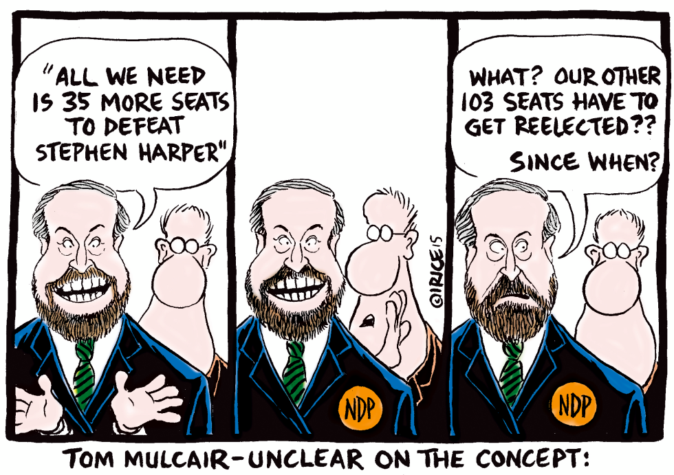 Tom Mulcair Unclear in the Concept