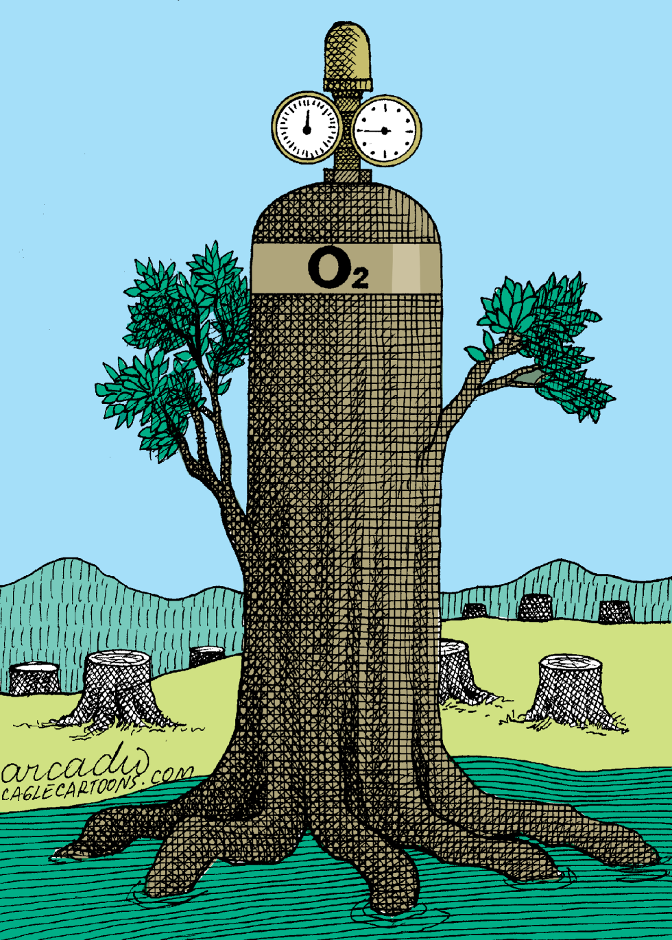  ARBOLES LLENOS DE VIDA by Arcadio Esquivel