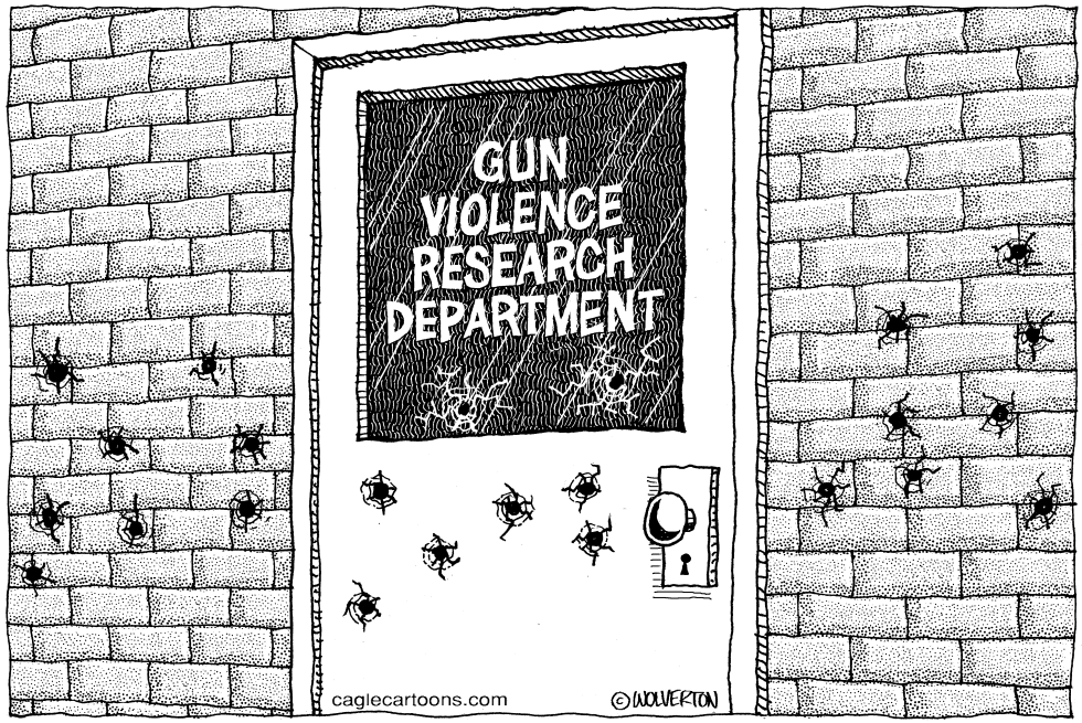 Gun Violence Research