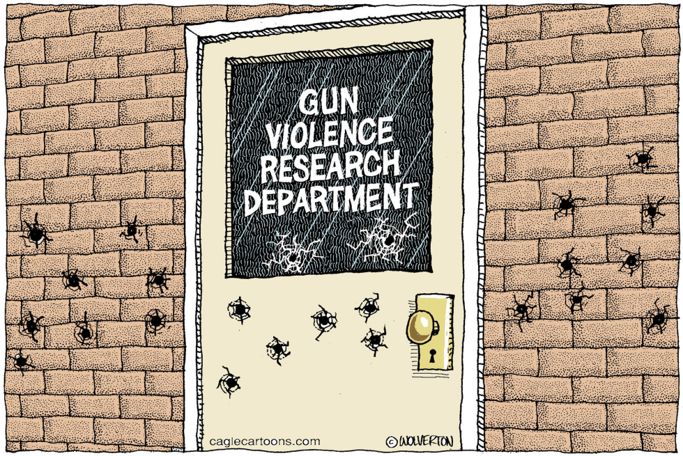 Gun Violence Research COLOR