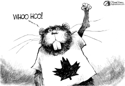 CANADA CANADA DAY by Cam Cardow