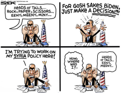 BIDEN TIME  by Steve Sack