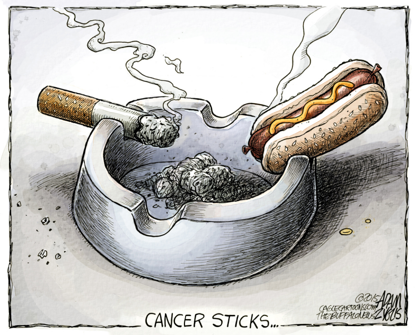 Processed meat COLOR