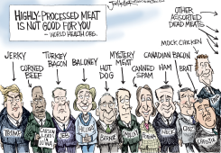 PROCESSED MEAT by Joe Heller