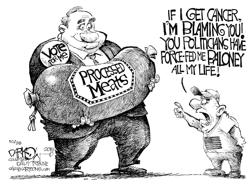 Political Baloney