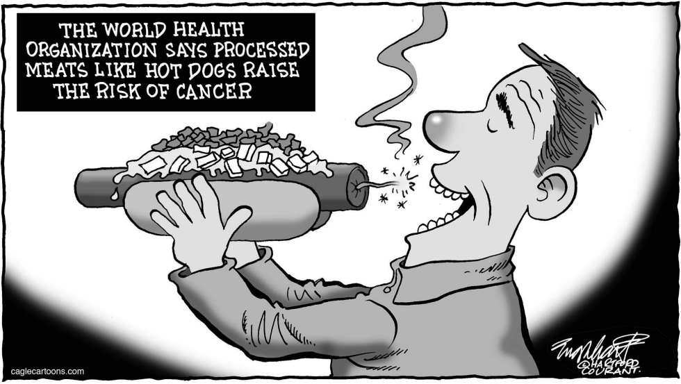 Hot Dogs