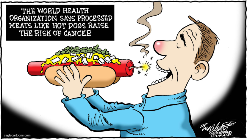 Hot Dogs COLOR