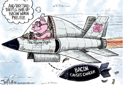 BACON by Joe Heller