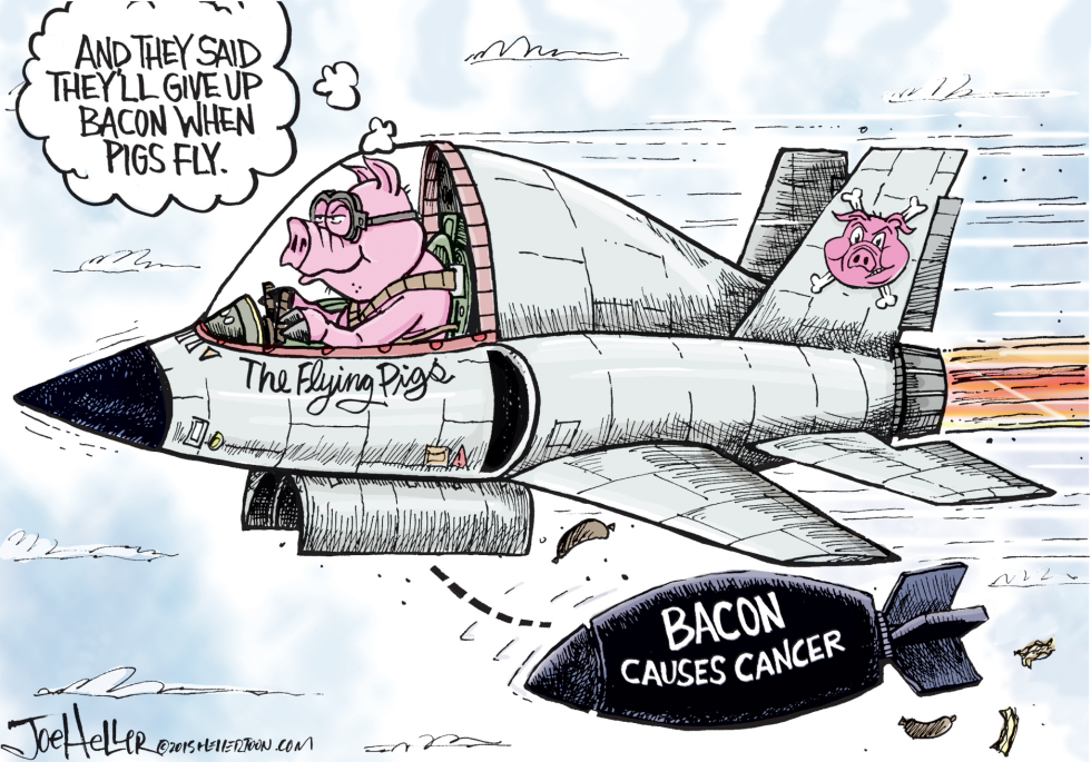 Bacon