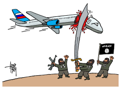 PLANE CRASH SINAI by Arend Van Dam