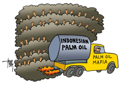 PALM OIL MAFIA by Arend Van Dam