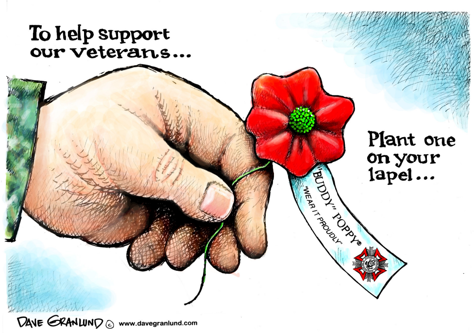  VETERANS AND POPPIES by Dave Granlund