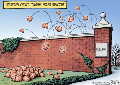 COLLEGE PROTESTS  by Nate Beeler