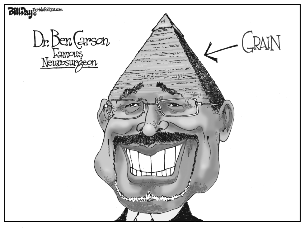 GRAIN BRAIN