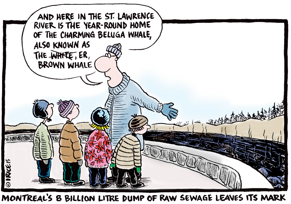 Dump of Raw Sewage