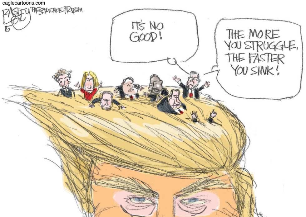 Donald's Hair COLOR