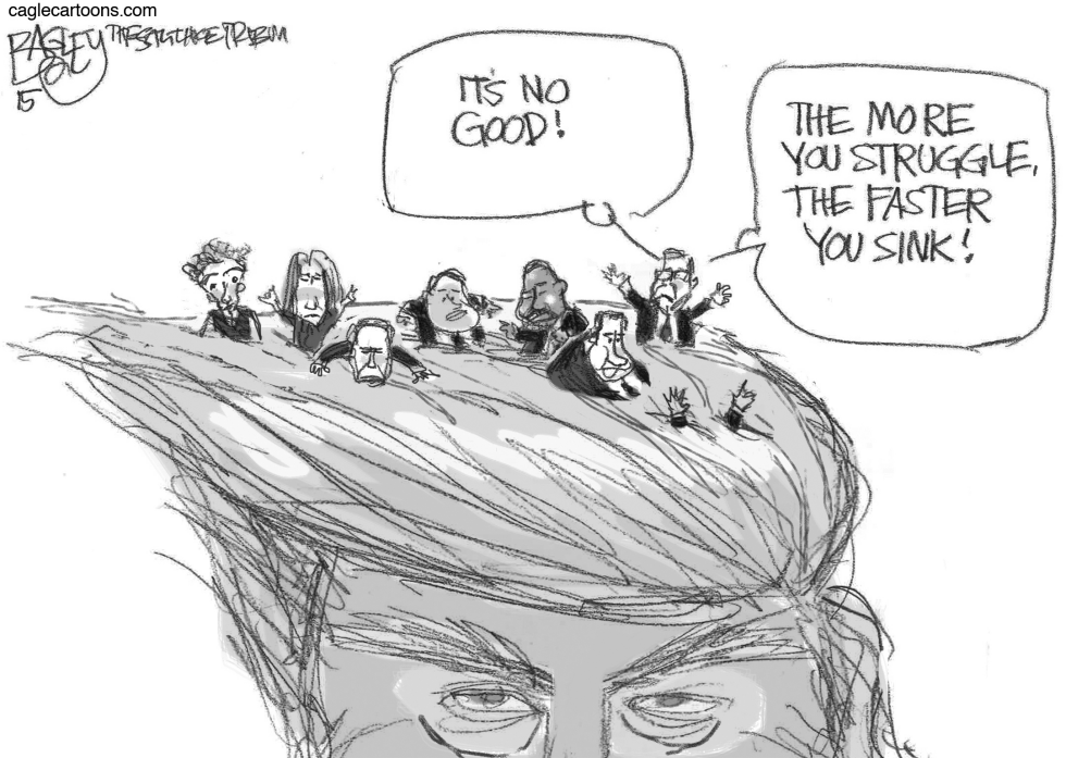 Donald's Hair