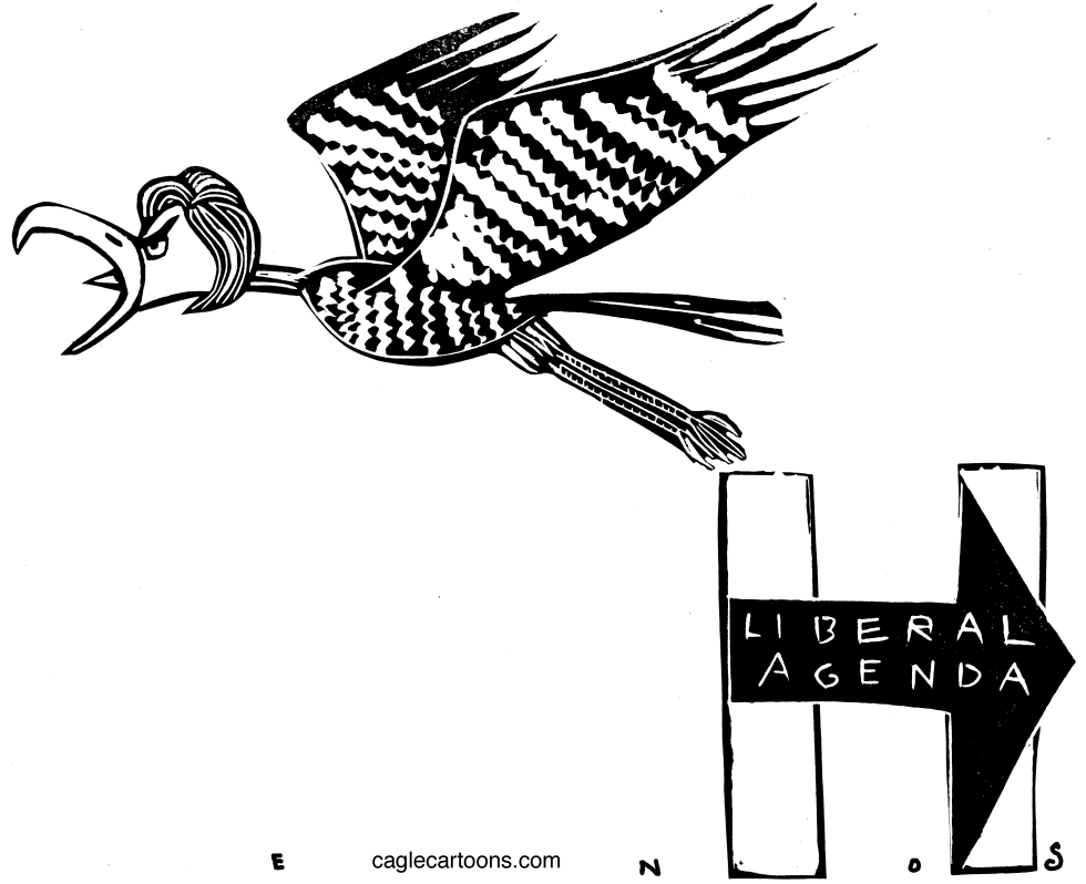 Hillary Hawk