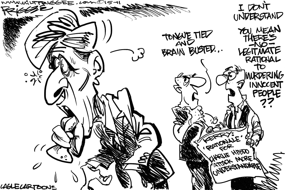 Kerry attack comments