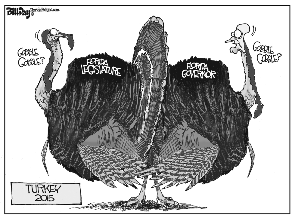 local FL TURKEY 2015