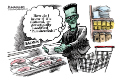FRANKENFISH  by Jimmy Margulies