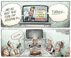 TURKEY  by Adam Zyglis