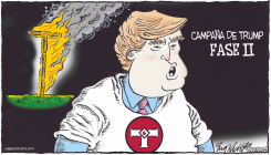 DONALD TRUMP / by Bob Englehart