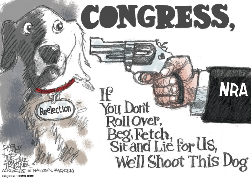Good Dog Congress COLOR